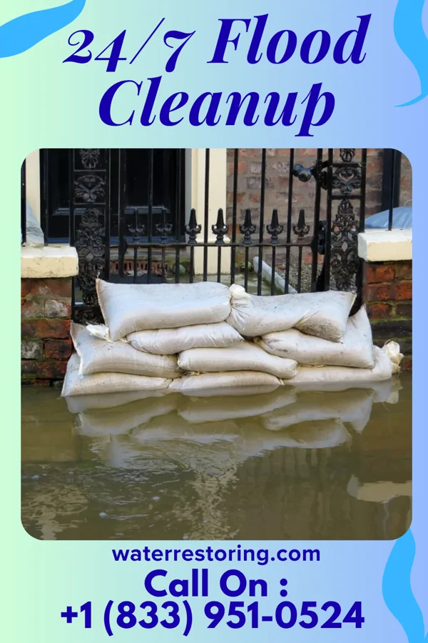 24/7 Flood Cleanup in Louisburg, MN