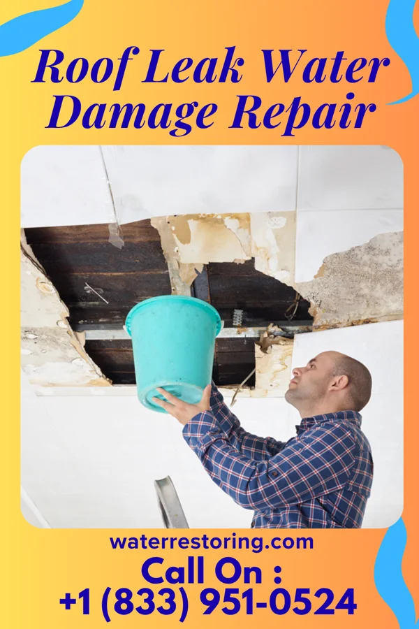 Roof Leak Water Damage Repair in Louisburg, MN