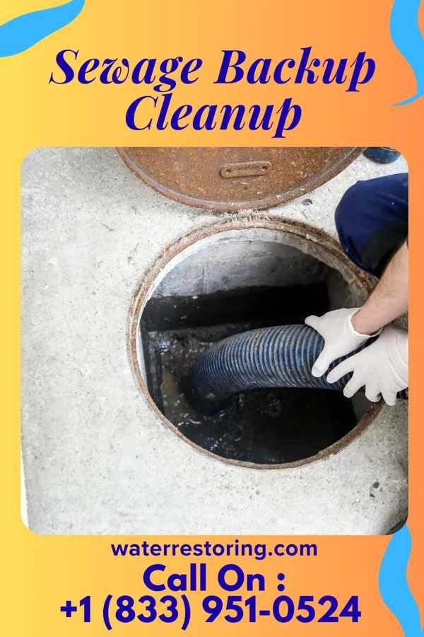Sewage Backup Cleanup in Louisburg, MN